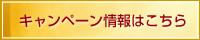 キャンペーン情報はこちら